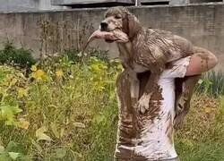 Enlace a Perrete pescador