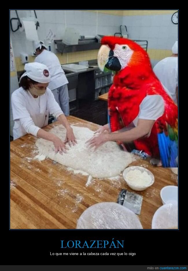 lorazepán,loro,pan