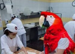 Enlace a Algunos piensan en un medicamento y otros...
