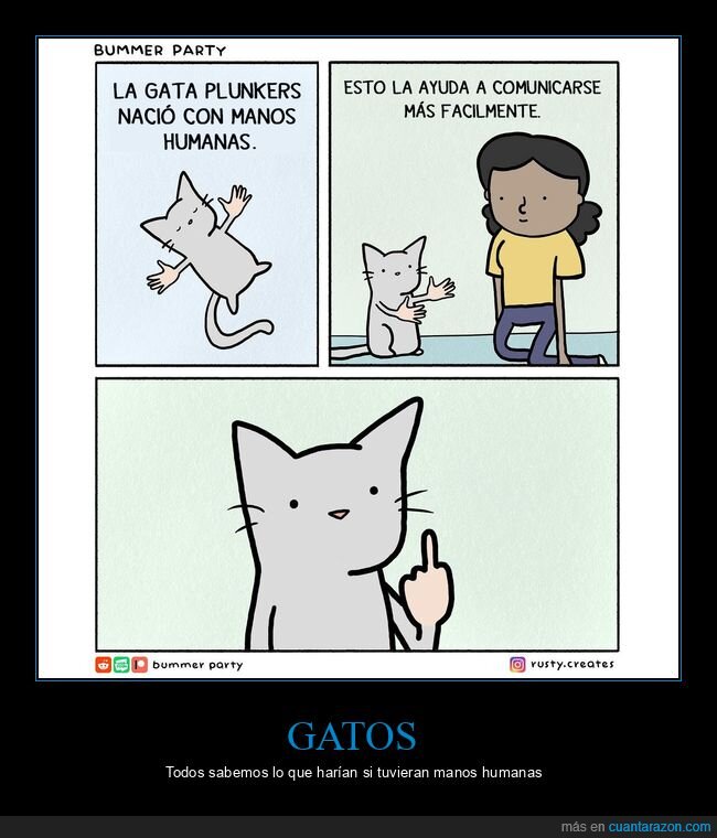 gatos,manos,humanas