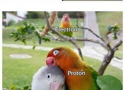 Enlace a Memes sobre ciencia con los que aprendes y te ríes a la vez