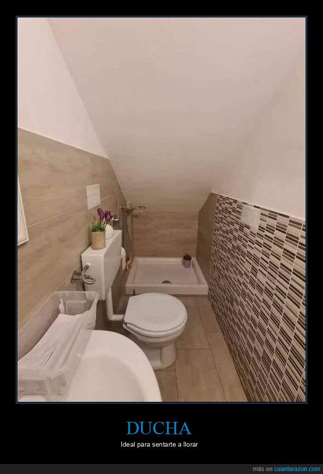 aseo,ducha