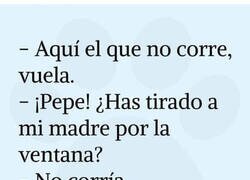 Enlace a Suegra voladora