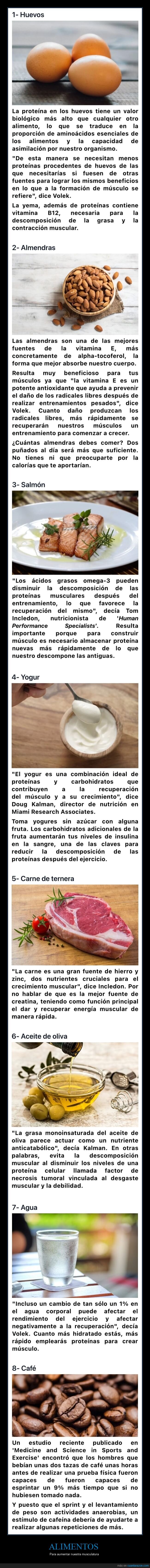 alimentos,aumentar,musculatura