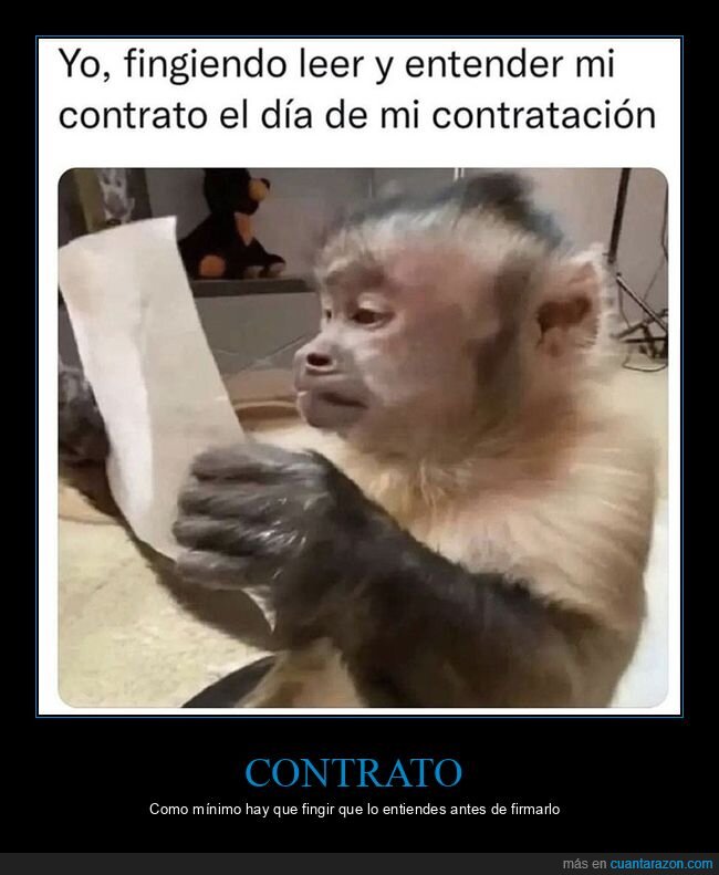 contrato,entender,fingiendo,leer,mono