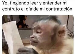 Enlace a No engañas a nadie...