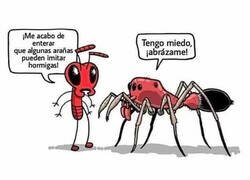 Enlace a Mucho cuidado...