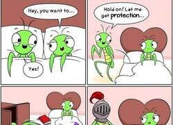 Enlace a Siempre con protección