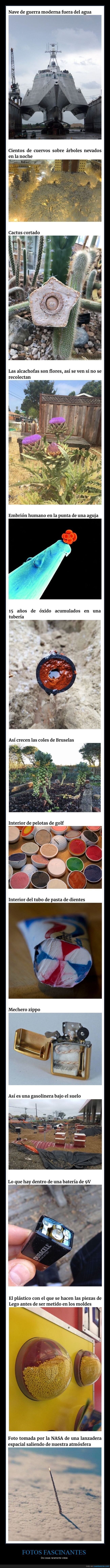 fotos fascinantes,cosas raras