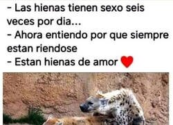 Enlace a Cosas de hienas