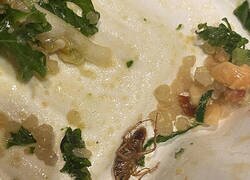 Enlace a Más sustancia