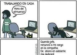 Enlace a Cuidado con el gato y el teletrabajo