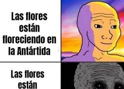 Enlace a No son buenas noticias...