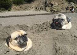 Enlace a Diversión en la playa