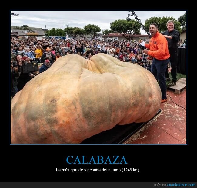 calabaza,gigante,récord