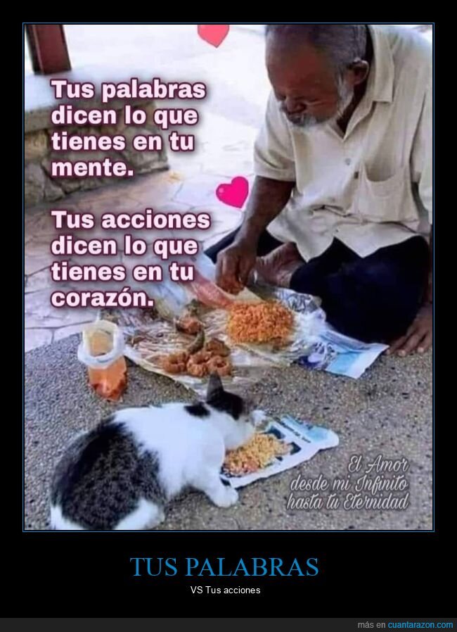 palabras,mente,acciones,corazón