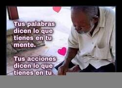 Enlace a Una cosa son las palabras y otra las acciones
