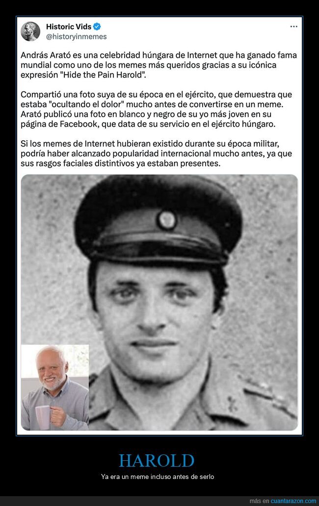 hide the pain harold,meme