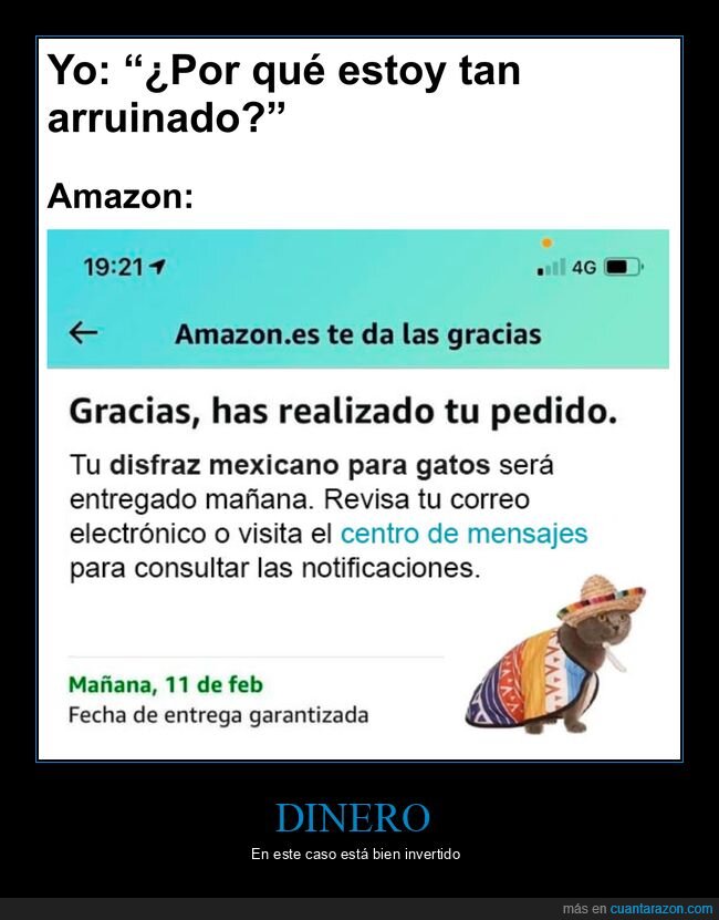 amazon,disfraz,mexicano,gato