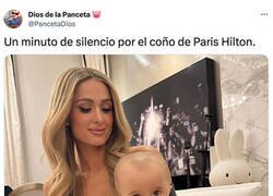 Enlace a Le ha salido cabezón...