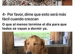 Enlace a Fotografías de animales que expresan lo que toda madre siente