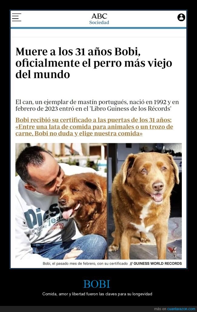 perro,muerte,viejo