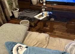 Enlace a Imposible moverlo de ahí