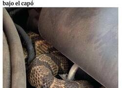 Enlace a Clientes un poco tontos que quedaron inmortalizados en internet