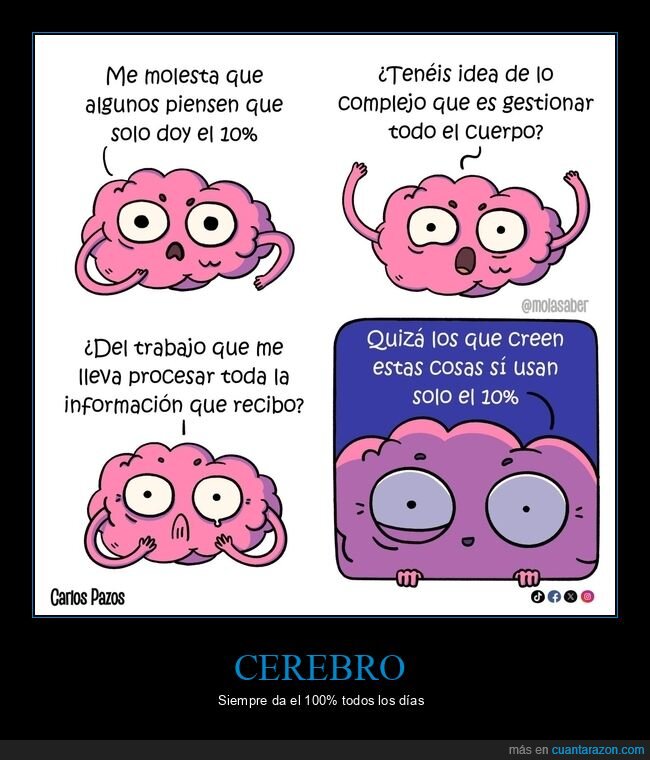 cerebro,10%