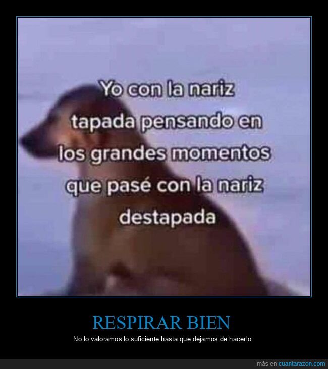 nariz,tapada,destapada