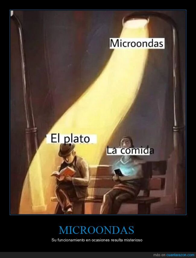 microondas,plato,comida