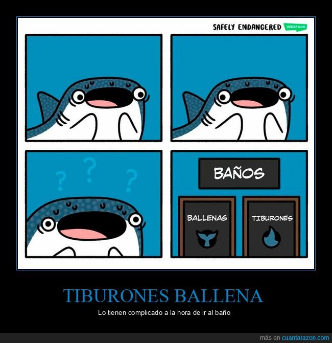 tiburón ballena,aseo