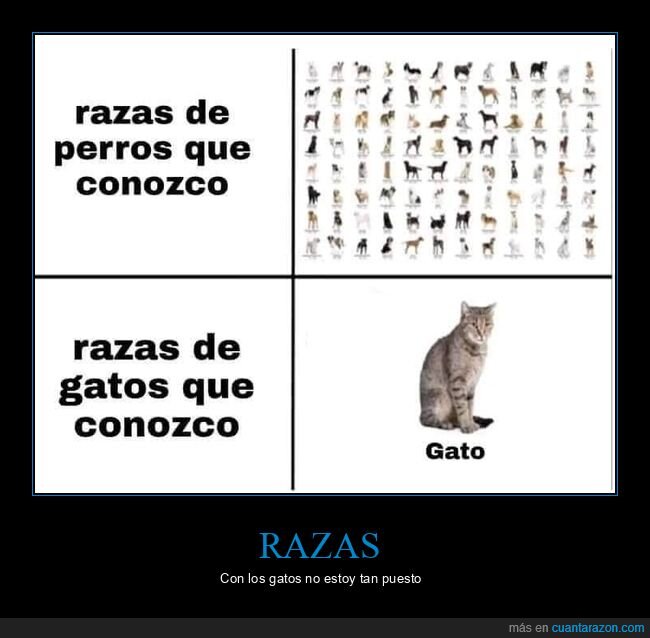 gatos,perros,razas