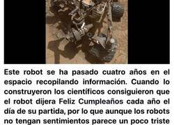 Enlace a Las 10 cosas y animales más solitarios del planeta