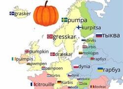 Enlace a Calabaza en los distintos idiomas europeos