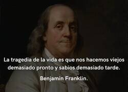 Enlace a La tragedia de la vida