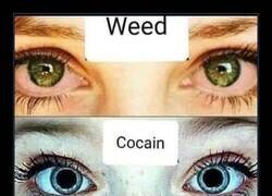 Enlace a Ojos expresivos