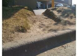 Enlace a «Caminos del deseo» o atajos creados para la conveniencia de la gente en lugar de las rutas designadas