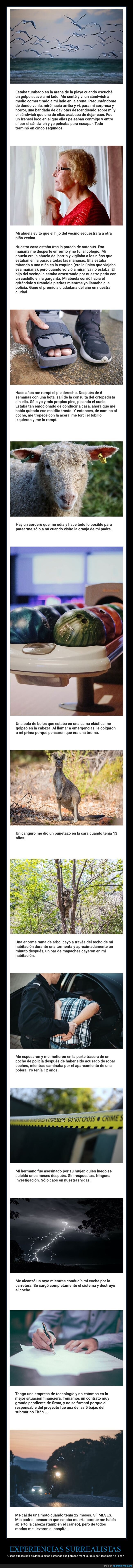 experiencias surrealistas,historias