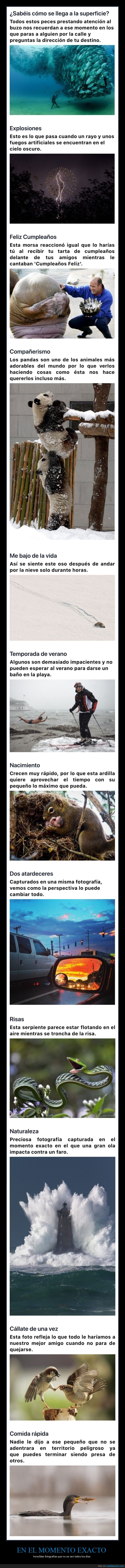 momento exacto,fotografías