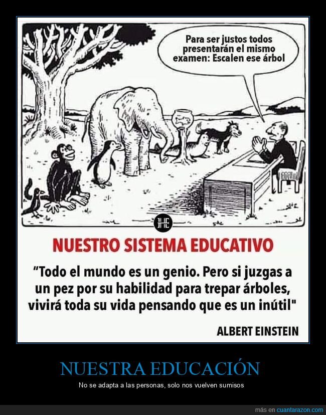 educación,sistema educativo,examen,animales,escalar,árbol