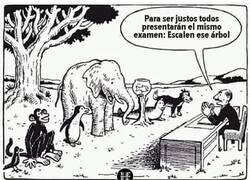 Enlace a ¿Examen justo?