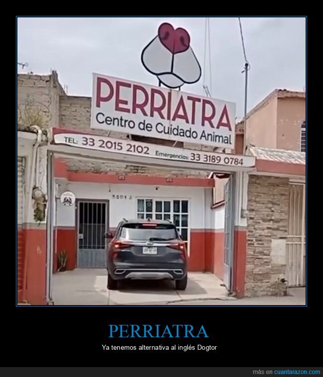 nombres,perriata,veterinario