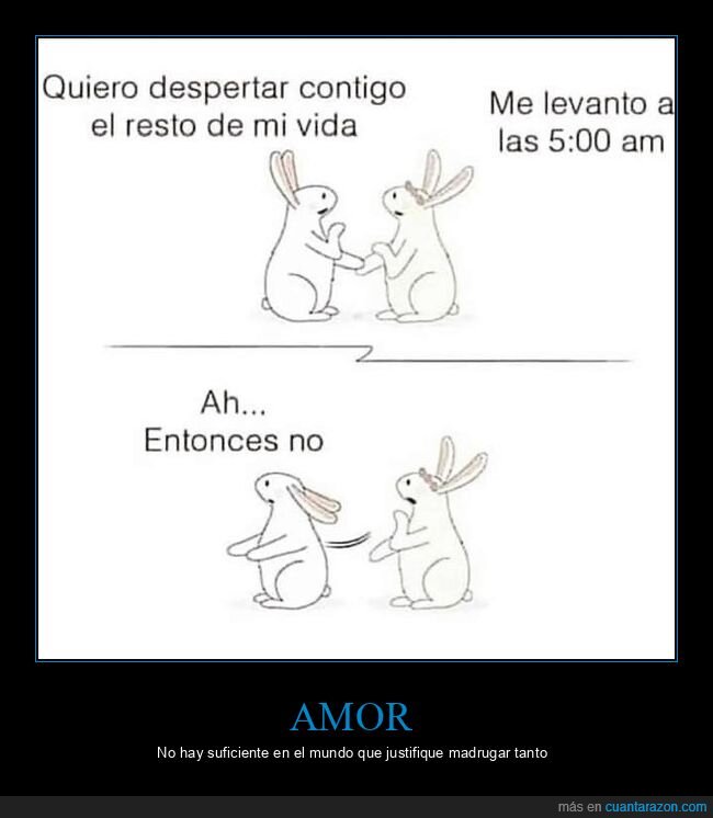 despertar,levantarse,madrugar