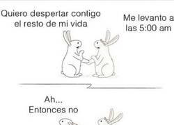 Enlace a Amor poco madrugador