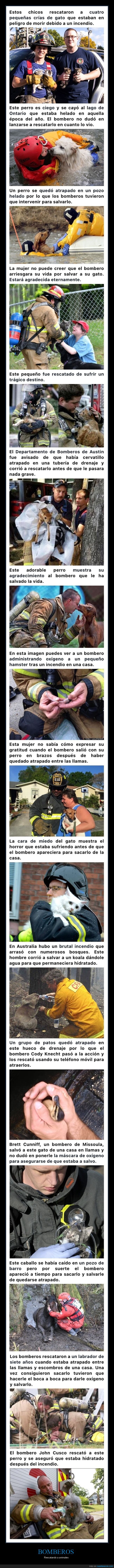 bomberos,rescatando,animales