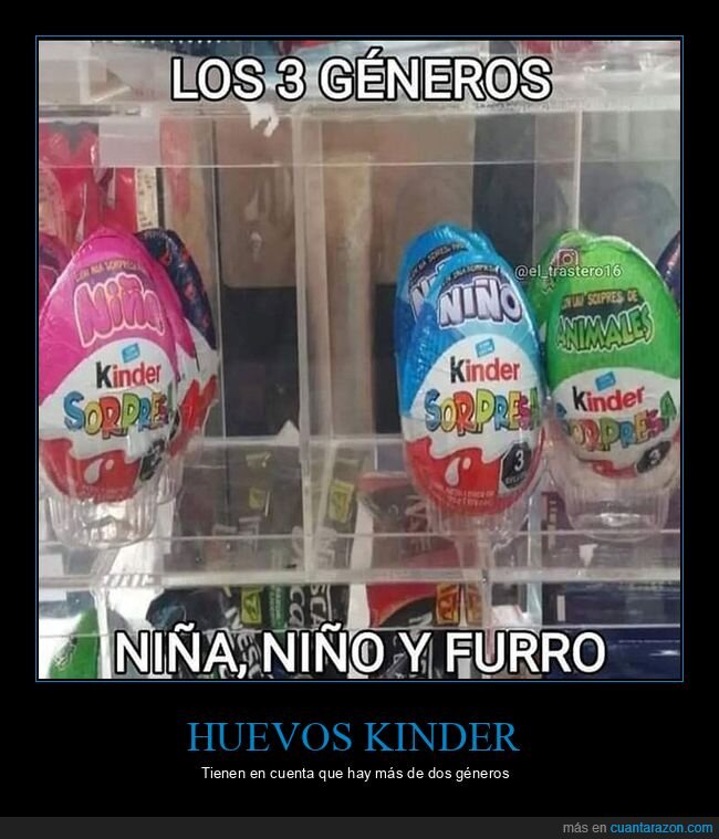 animales,furro,kinder,niña,niño