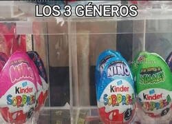 Enlace a El tercer género