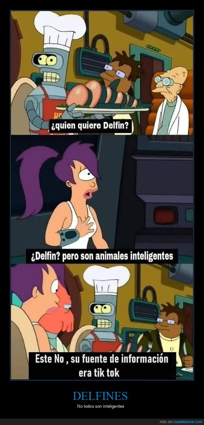 delfín,inteligentes,tiktok