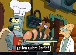 Enlace a ¿Animales inteligentes?